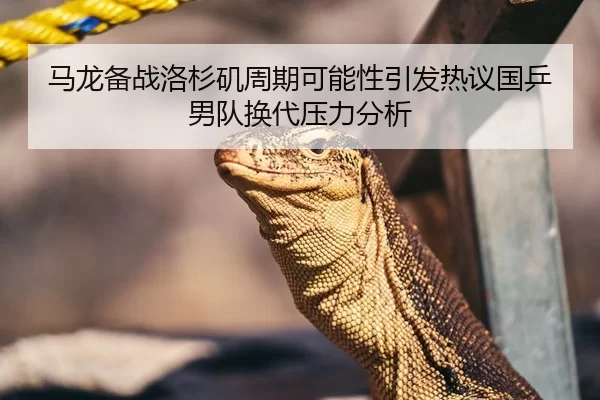 马龙备战洛杉矶周期可能性引发热议国乒男队换代压力分析