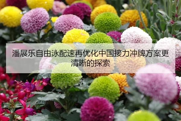 潘展乐自由泳配速再优化中国接力冲牌方案更清晰的探索