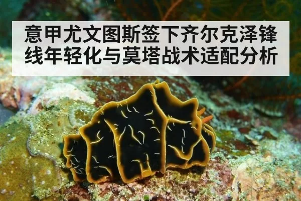 意甲尤文图斯签下齐尔克泽锋线年轻化与莫塔战术适配分析